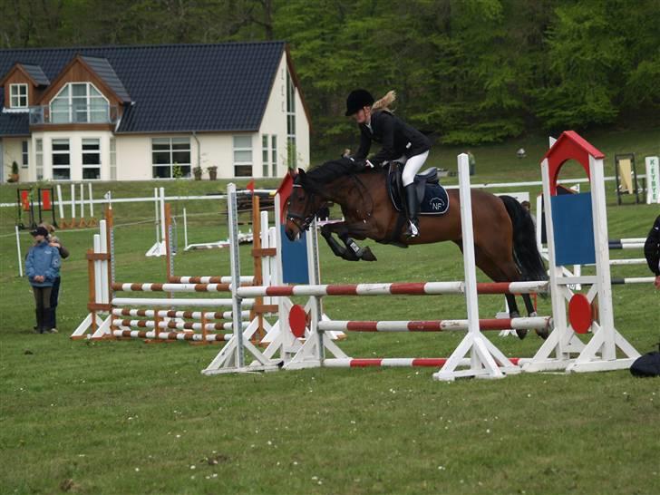 New Forest Elmholts Chanell  - morsø 08 - foto: julie søe <3 billede 13