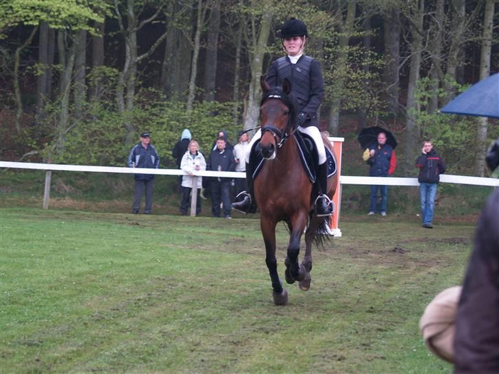 New Forest Elmholts Chanell  - morsø 08 - foto: julie søe <3 billede 14