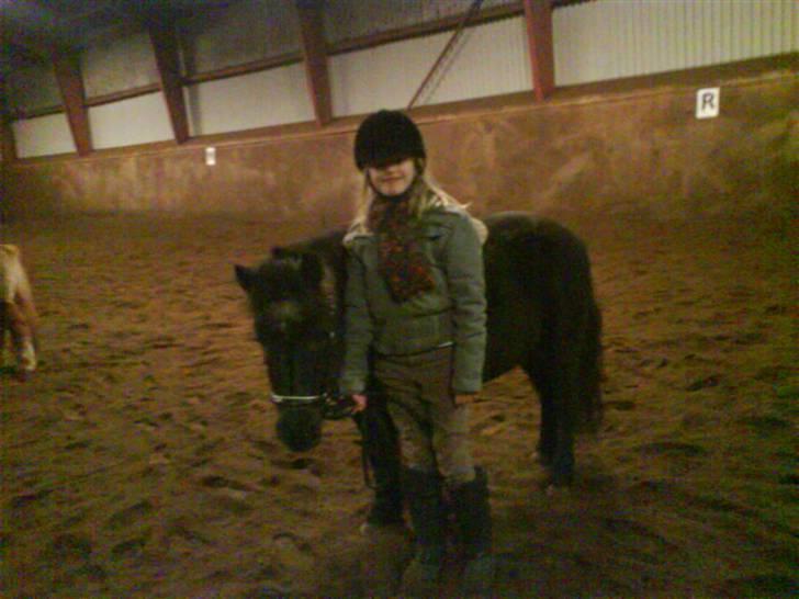 Shetlænder King Kong <3 - King kong i ridehuset i onsdags d. 5/11 - 08 d: billede 17