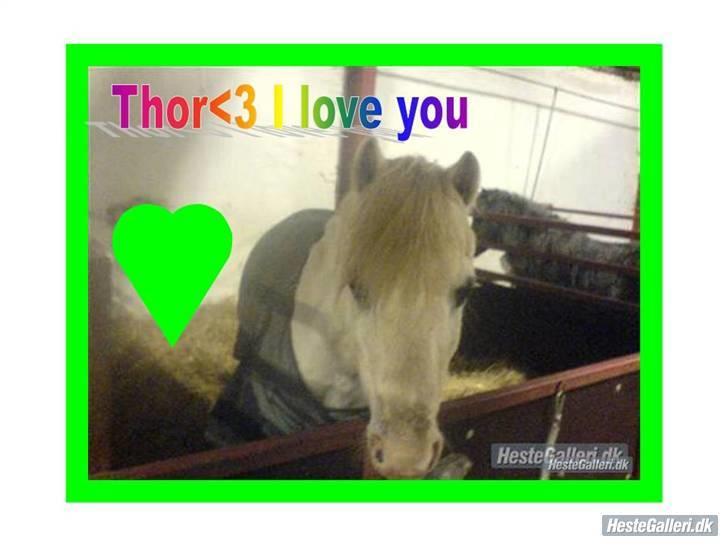 Anden særlig race thor billede 7