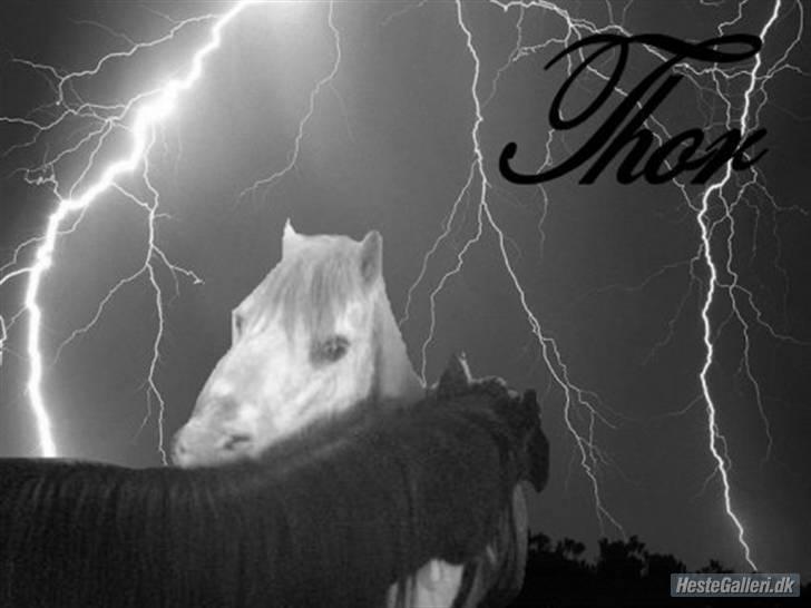 Anden særlig race thor billede 8