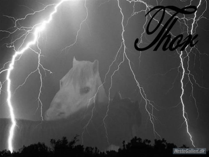 Anden særlig race thor billede 9