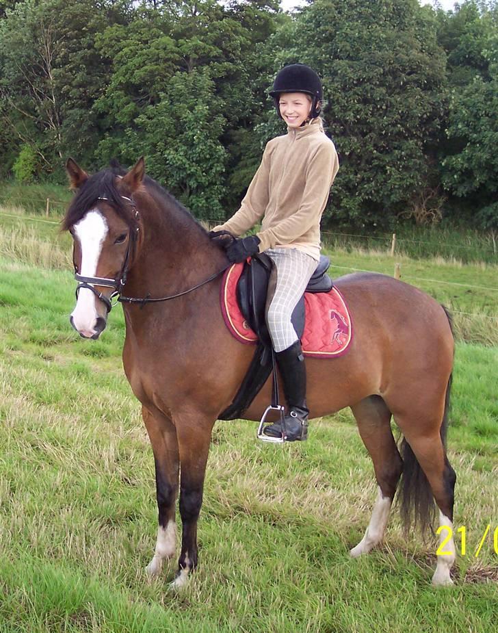 DSP Højvangs Tarif - Velkommen til tarifs profil, skriv gerne hvad i synes om min smukke pony<3 billede 1
