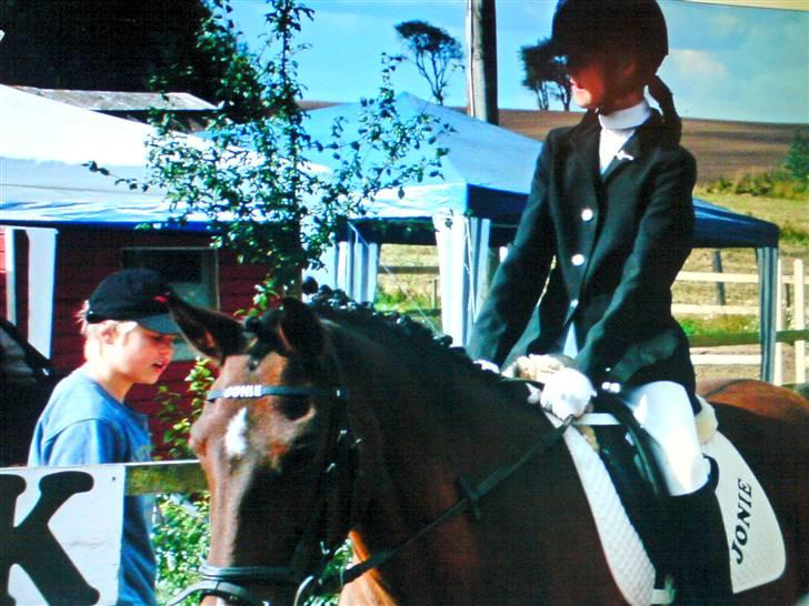 New Forest Jonie Skat<3!  billede 16