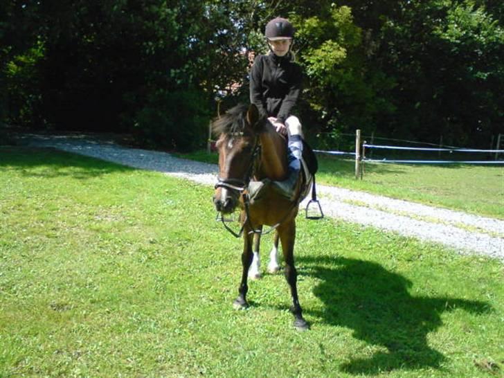 New Forest Jonie Skat<3!  billede 19