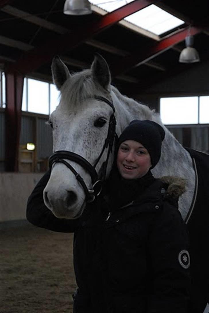 Anden særlig race | Chello Højgård | - Hygge i ridehuset efter løsspring <3 jan 2010 billede 4