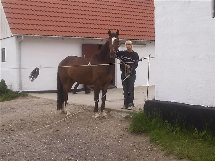 Anden særlig race jamie - cindy og jamie  billede 5