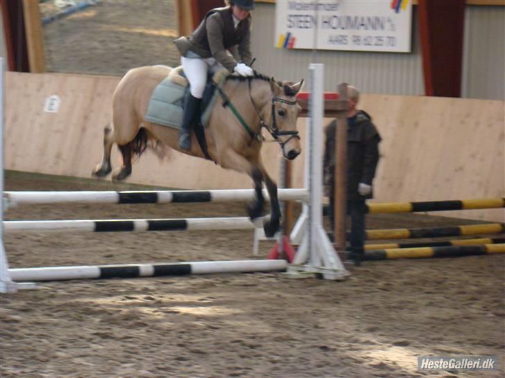 Hollandsk Sportspony Valerie (solgt 09) - Valerie og jeg i LC:) Valerie var friiiisk!:D 02/11-2008 - ASRK, Foto: Alex billede 10