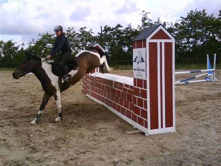 Anden særlig race zippolight (SOLGT) billede 16