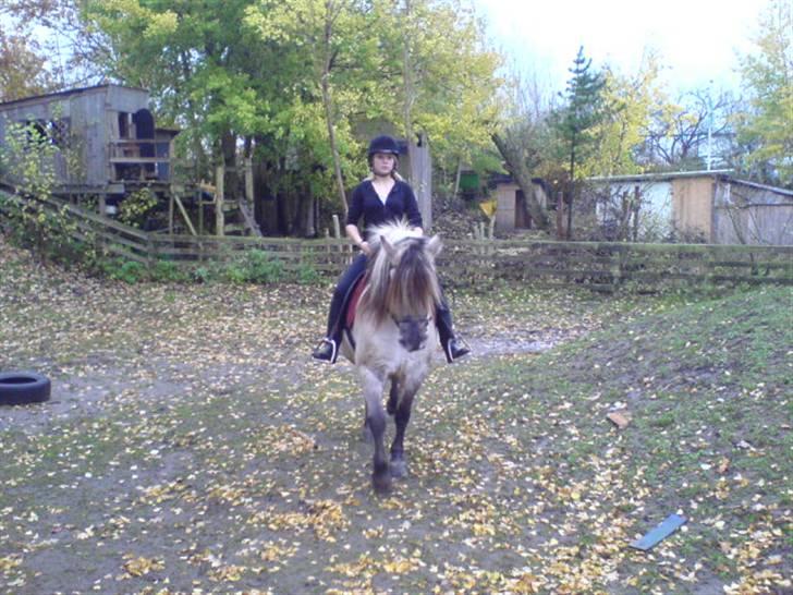 Anden særlig race Bygge`s Luna <3 - jeg kommer jeg kommer jeg kommer altså nu billede 2