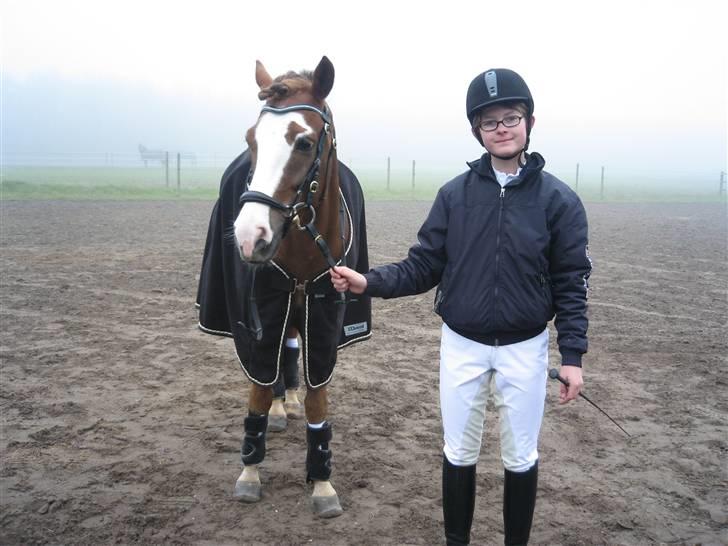 New Forest Blåbærhegnets Tatoo R.I.P billede 4