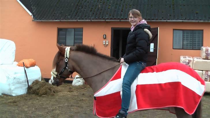 New Forest Blåbærhegnets Tatoo R.I.P billede 13