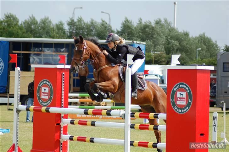 Anden særlig race Mr. Playboy - playboy til landsstævne i Boller:) så fin han er billede 2