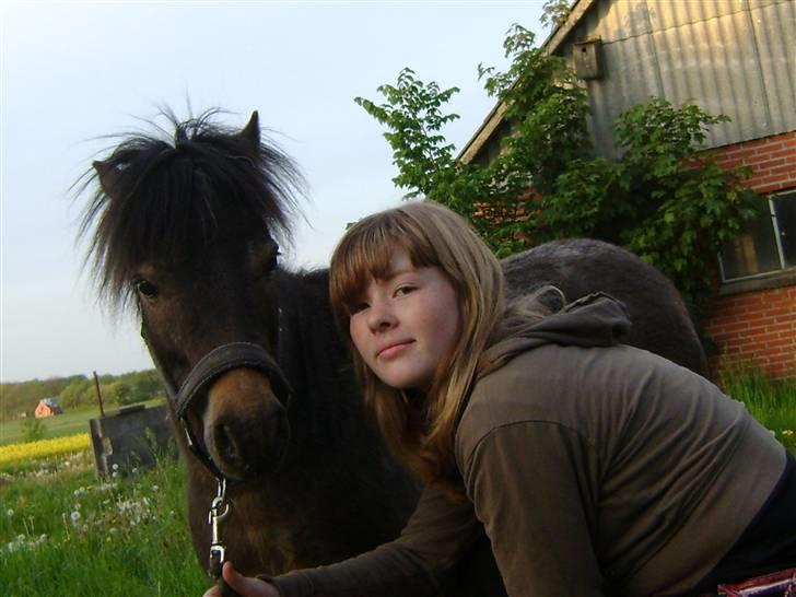 Miniature Justenborgs åge *R.I.P* - mig og den smukke pony!  Fotograf: min far billede 6