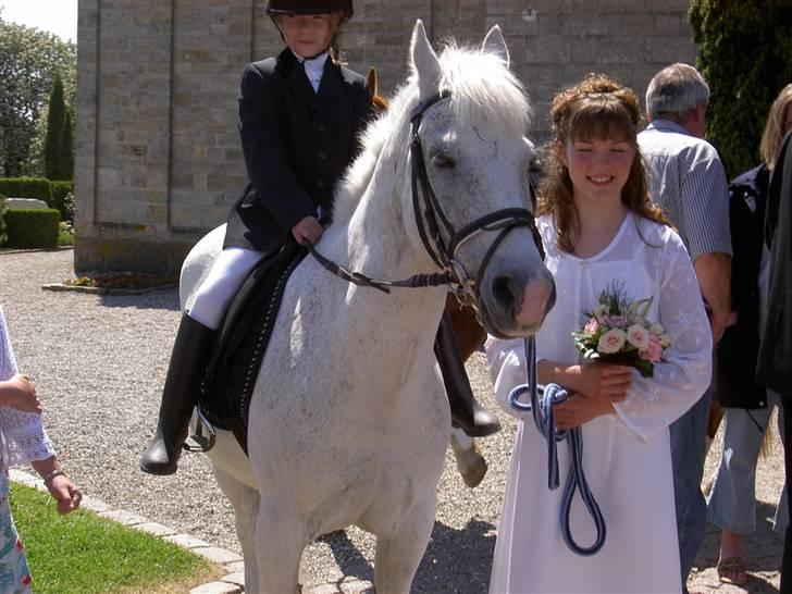 Anden særlig race † Fillur † *Alting* <3 - til min kusines konfirmation <3 Jeg ville ønske det var mig der stod ved siden af dig. Det er min største drøm, som aldrig vil gå i opfyldelse:'( billede 18