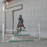 Pinto Svalegårdens Arsenal <3