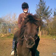 Islænder Viska<3 solgt og savnet