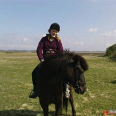 Islænder Viska<3 solgt og savnet