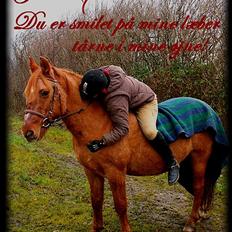 Anden særlig race Gamle[R.I.P 22.11.10]:'( 