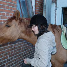 Anden særlig race Gamle[R.I.P 22.11.10]:'( 