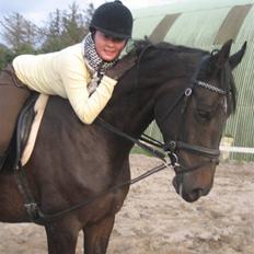 Dansk Varmblod Fortuna