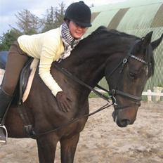 Dansk Varmblod Fortuna