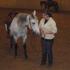 Anden særlig race Casey