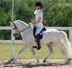 Welsh Pony af Cob-type (sec C) Korreborgs hero solgt