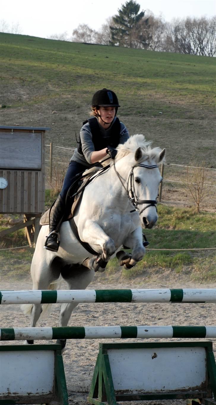 Connemara Zero To Hero billede 2