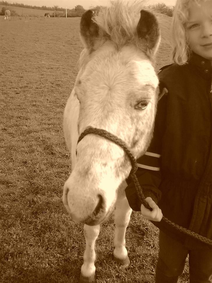 Anden særlig race Bonanza / Fræk af delle xD - tak til Sandra der tov billedet :) billede 13
