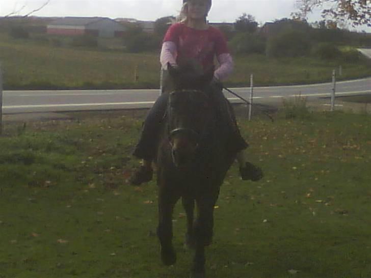 Anden særlig race misty min eneste ene:'( R.I.P :'( billede 14