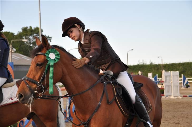 Hollandsk Sportspony Magic Avion R.I.P 16/5/11 - Blev 7´er i MB´en på HIS :b Foto: Far billede 3