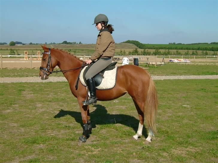 DSP Zig-Zag *SOLGT* - nååå min lille baby :-) billede 20