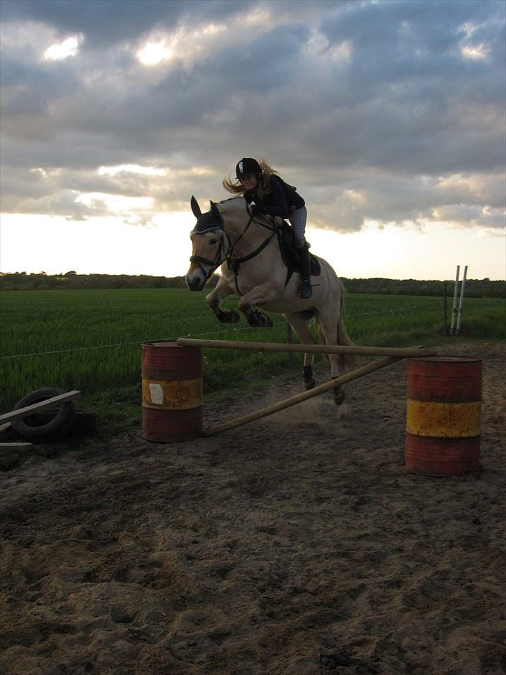 Fjordhest Simba <3 solgt - Stine og Simba - 2009 <3 billede 19