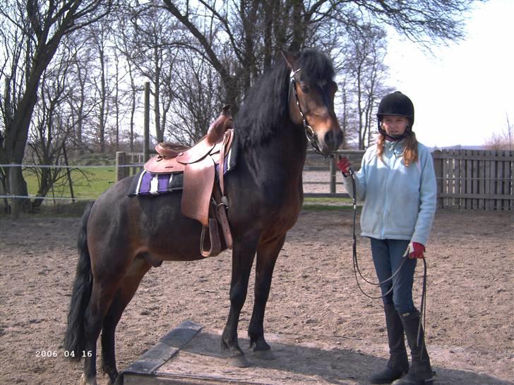 New Forest Casanova - fordi At Vi Har Gået Op Og Ned Af Den Bro Så Tit - foto mor  billede 20