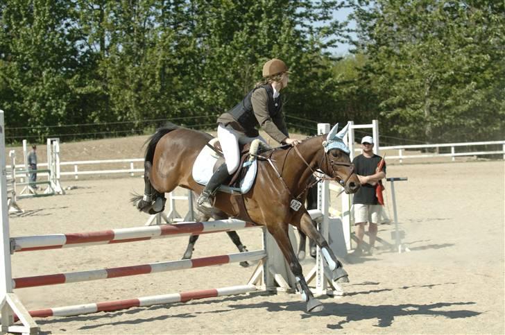 Belgisk Sportspony Cawello (SOLGT) - LA i slagelse.. sejt udstyr.. vil os gerne have lyseblå til jennifer. billede 3