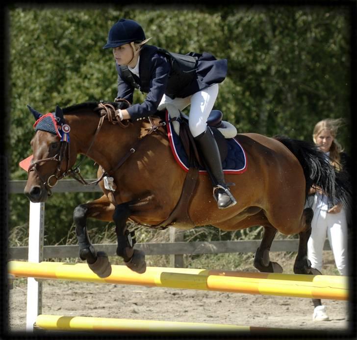 Belgisk Sportspony Cawello (SOLGT) - Distriksmesterskabet i D.5 :D wello er en superspringer. billede 13