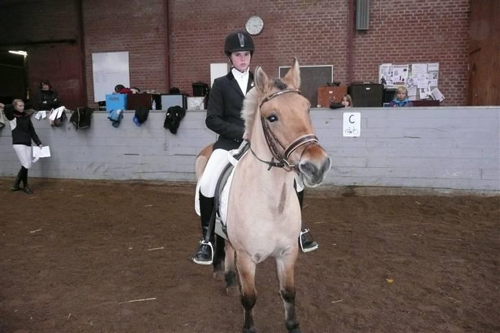 Anden særlig race flopper - velkommen til nolles profil :) her er vi til stævne <3 billede 1