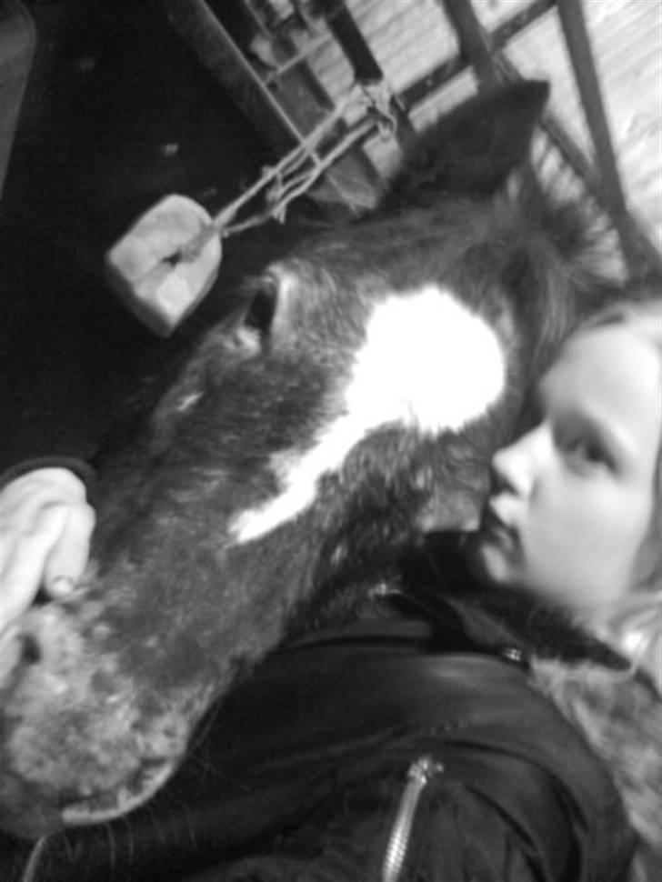 Anden særlig race tarzan  - Elskerdig min :i <3  billede 15