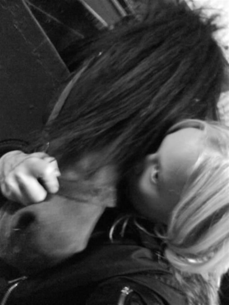 Gotlandsruss Valbyholms Gotland - Elsker dine kys min :i <3  billede 18