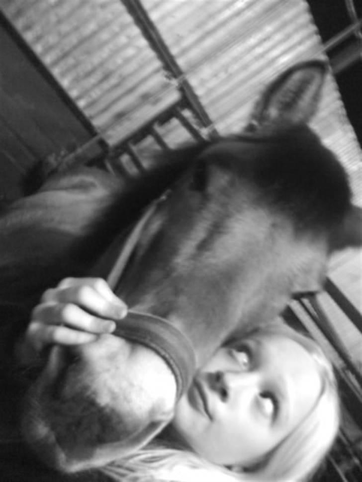 Anden særlig race Bleiki ii; <3  - skat du betyder alt og det vil du altid gøre min dejlige smukke poonse  billede 11