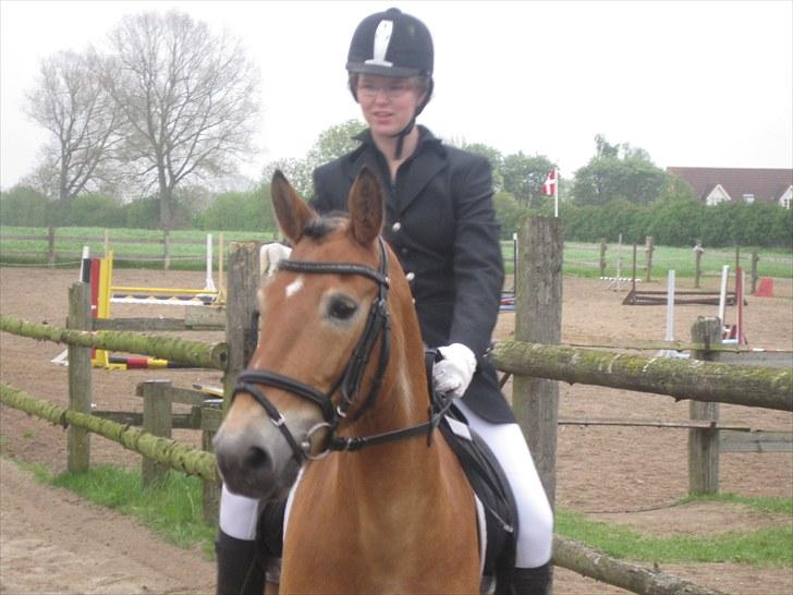 Anden særlig race Don Vito <3 Min gammle pony<3 - heh <3 billede 2