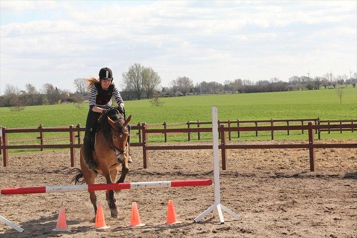 Anden særlig race Don Vito <3 Min gammle pony<3 - heh <3 billede 5