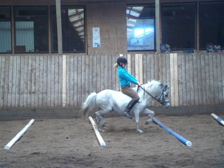 Anden særlig race Bonanza / Fræk af delle xD - Rider over 10 bum uden sadel ! :D billede 15