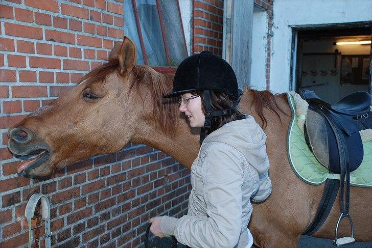 Anden særlig race Gamle[R.I.P 22.11.10]:'(  - 2¤ savner dig og de sjove tider med dig!!  billede 2