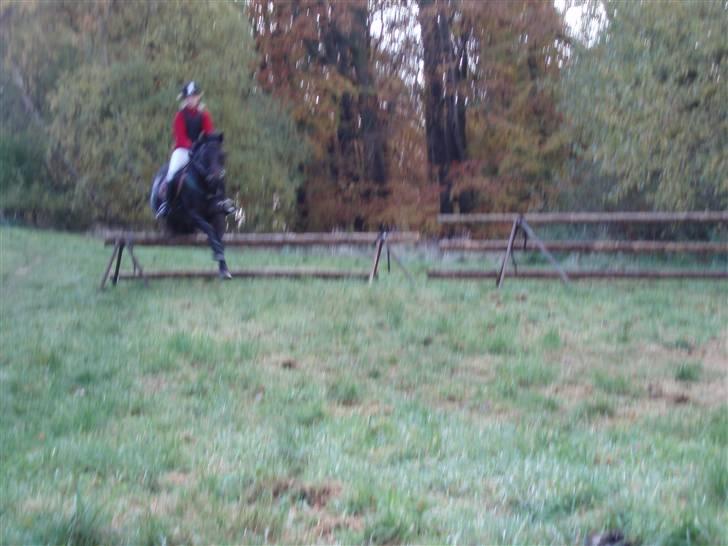 Anden særlig race Master Toby - her hopper jeg med min dejlige ejer Mette til hubertusjagten -08<3  billede 2