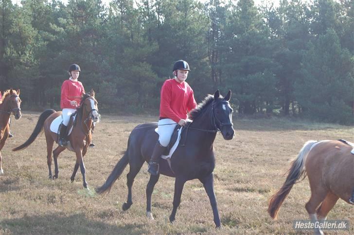 Anden særlig race Broengs Laluna(Gl. Part)  - Er ved og gøre klar til jagten =) billede 14