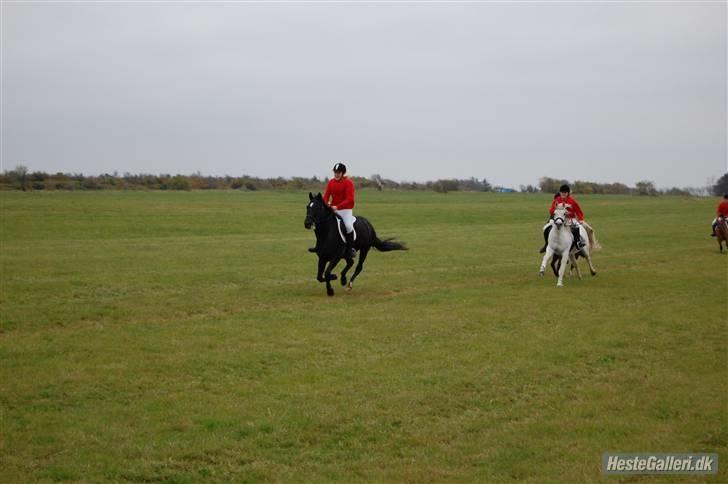 Anden særlig race Broengs Laluna(Gl. Part)  - yes vandt bare det hele !!!! =) =) =) =) billede 16