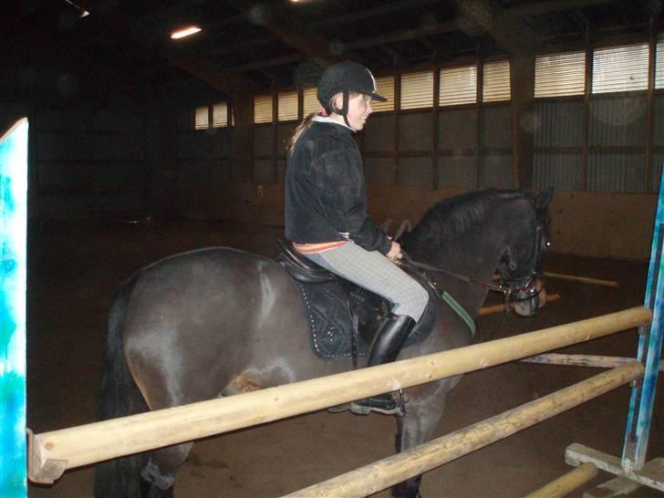 Anden særlig race Master Toby - så højt er 1 meter i forhold til mig<3<3 foto:far billede 4