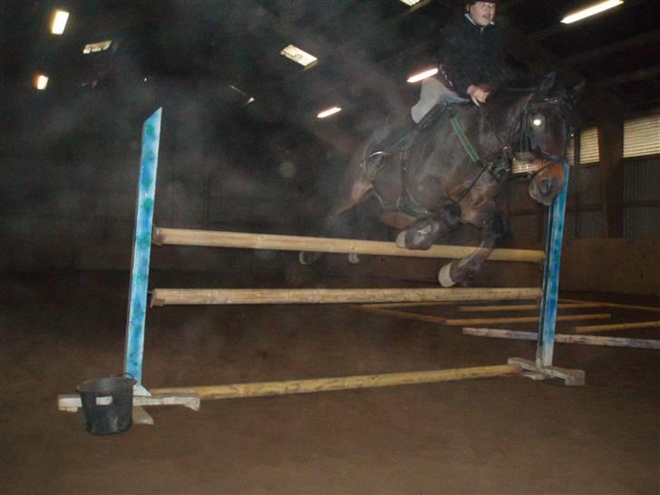 Anden særlig race Master Toby - 1 meter, hah ingen sag for mig<3 jeg er bare bedst!<3 xD foto:far billede 5